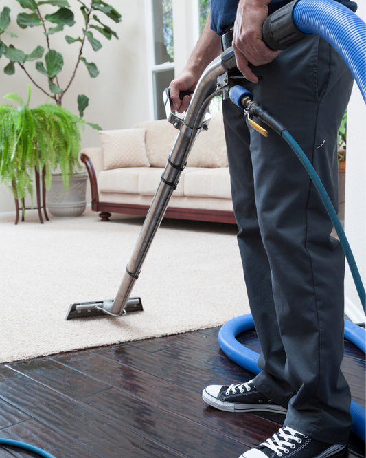 Halı Yıkama Ustası